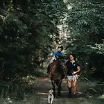 Gospodarstwo Goscinne Racibor Swietajno (Szczytno)