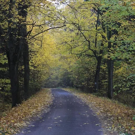 Penzion Gospodarstwo Goscinne Racibor Swietajno (Szczytno)