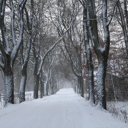 Gospodarstwo Goscinne Racibor *