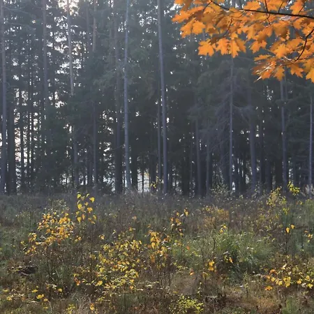 Penzion Gospodarstwo Goscinne Racibor