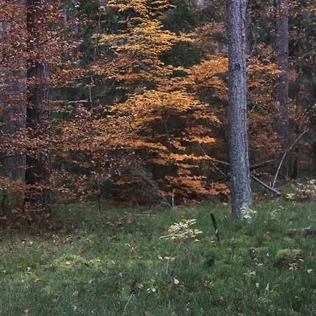 Penzion Gospodarstwo Goscinne Racibor *