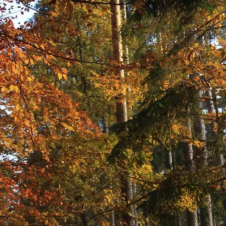 Gospodarstwo Goscinne Racibor Penzion *