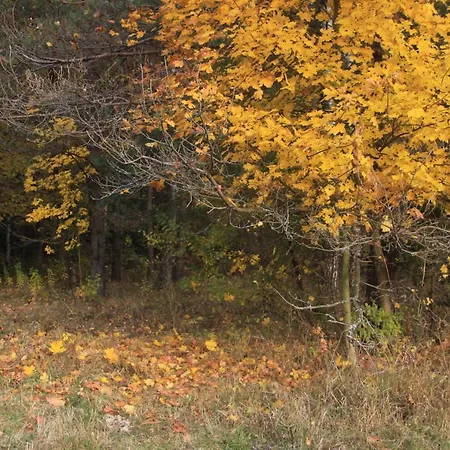 Gospodarstwo Goscinne Racibor