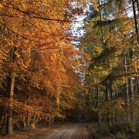 Penzion Gospodarstwo Goscinne Racibor