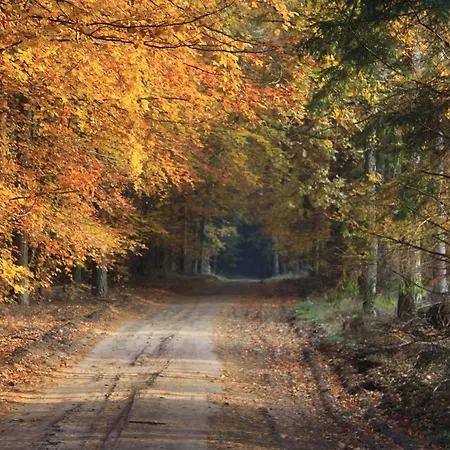 Penzion Gospodarstwo Goscinne Racibor *