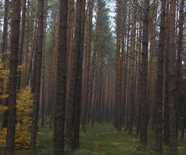 Gospodarstwo Goscinne Racibor Swietajno (Szczytno)