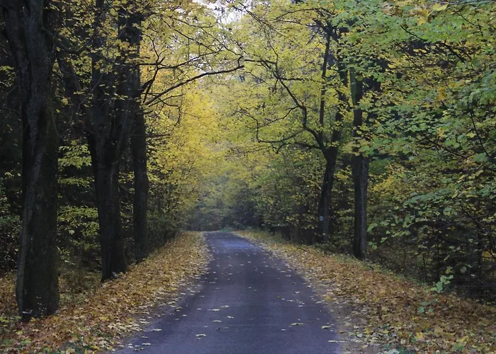 Guest house Gospodarstwo Goscinne Racibor Swietajno (Szczytno)