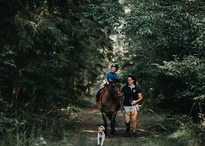 Gospodarstwo Goscinne Racibor Swietajno (Szczytno)