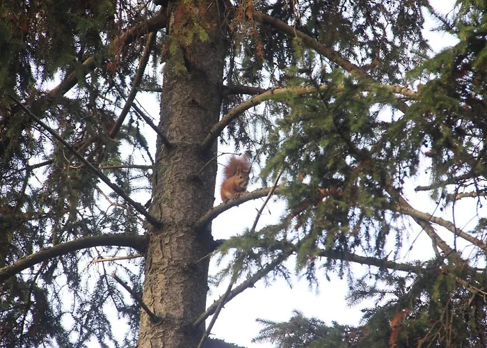 Guest house Gospodarstwo Goscinne Racibor Swietajno (Szczytno)