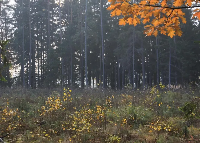 Guest house Gospodarstwo Goscinne Racibor