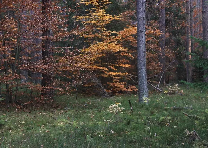 Guest house Gospodarstwo Goscinne Racibor *