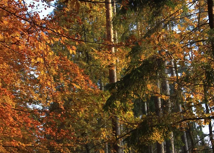 Gospodarstwo Goscinne Racibor Guest house *