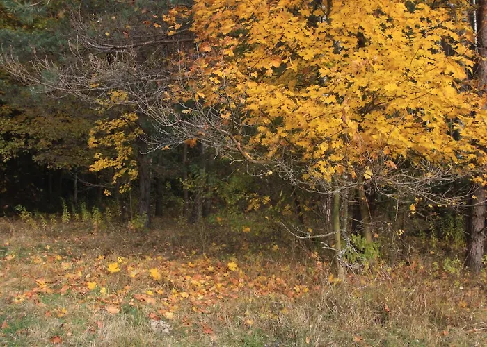 Gospodarstwo Goscinne Racibor