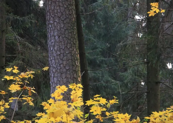 Guest house Gospodarstwo Goscinne Racibor *