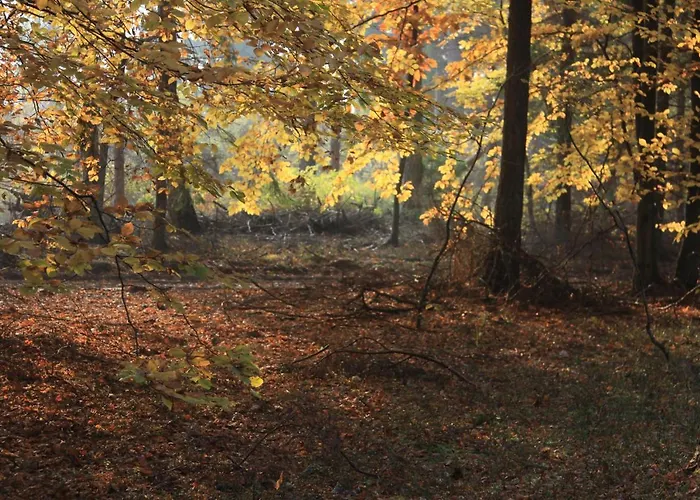 Gospodarstwo Goscinne Racibor Guest house *